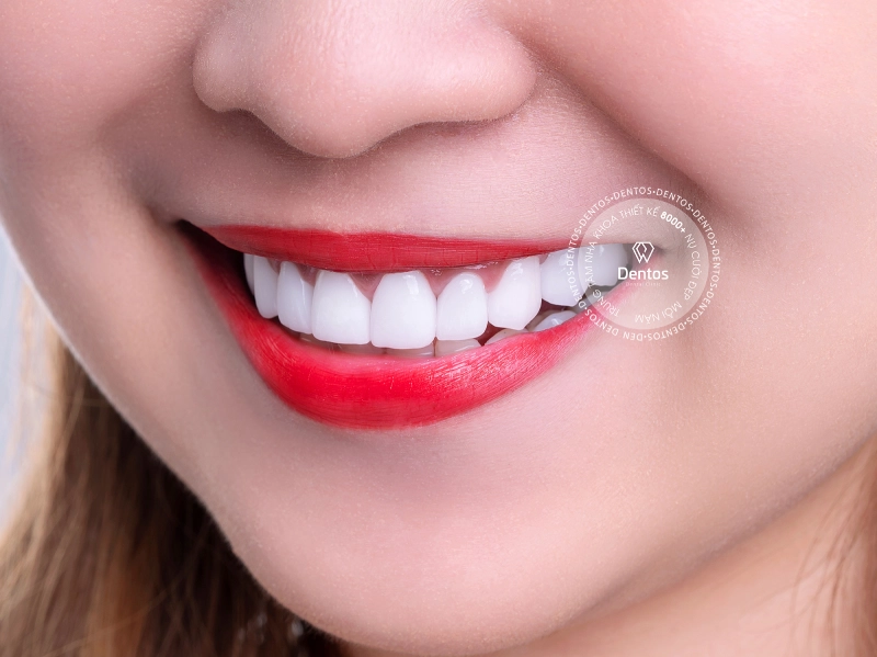 Ưu Đãi & Khuyến Mãi